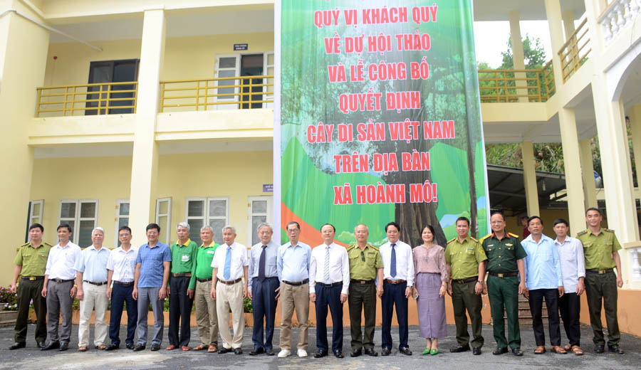 Ph&aacute;t[-]huy[-]tiềm[-]năng[-]c&acirc;y[-]di[-]sản[-]Việt[-]Nam[-]cho[-]ph&aacute;t[-]triển[-]kinh[-]tế[-]bền[-]vững[-]ở[-]x&atilde;[-]v&ugrave;ng[-]cao